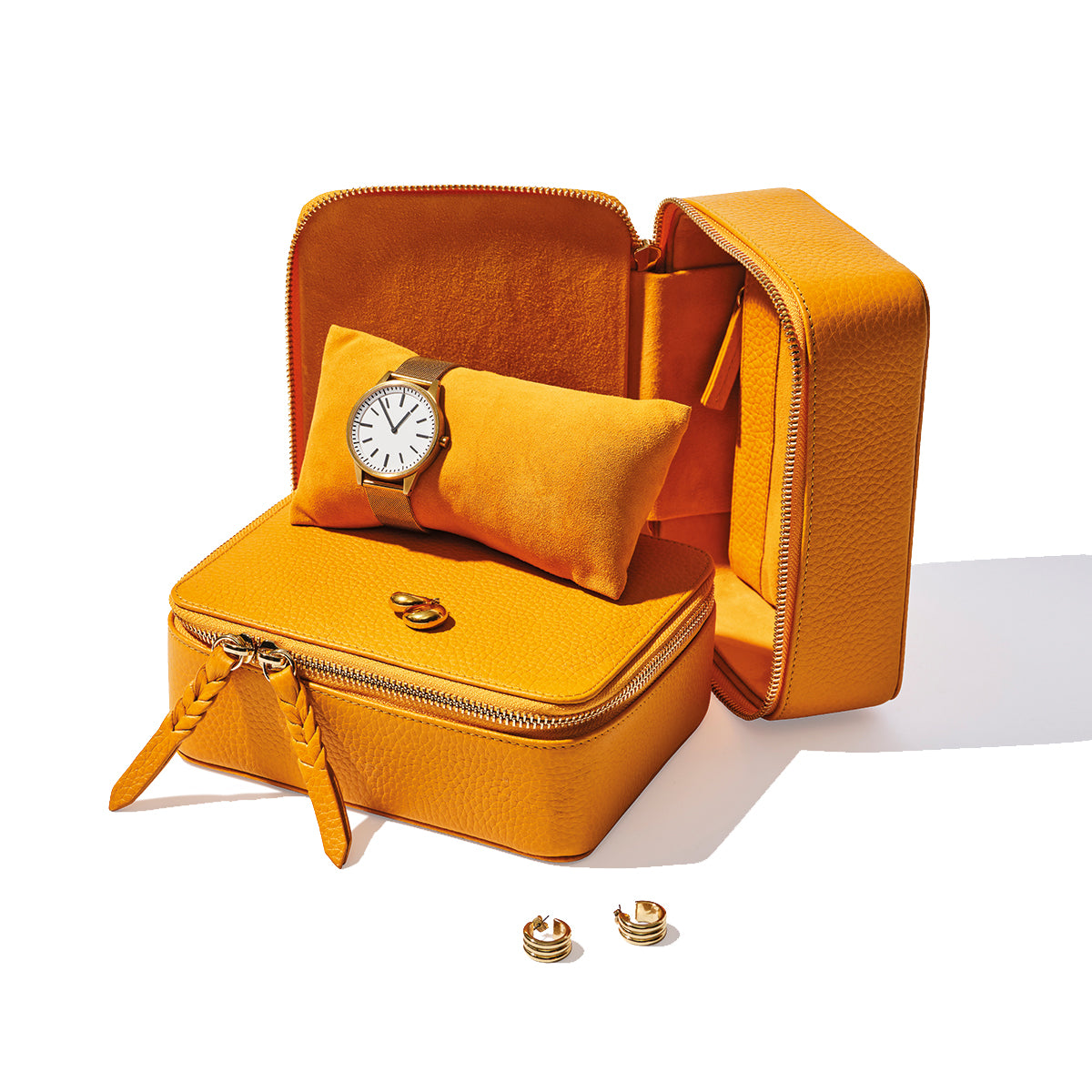 Jewellery & Watch Case