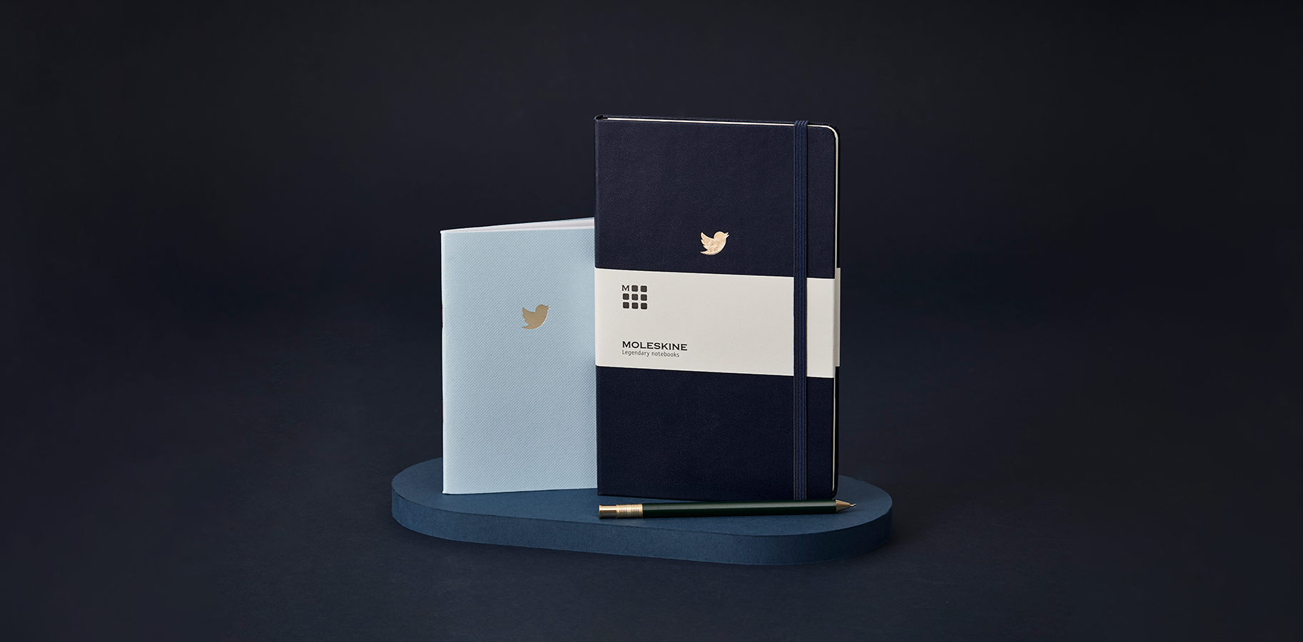 Twitter_notebooks_long.png